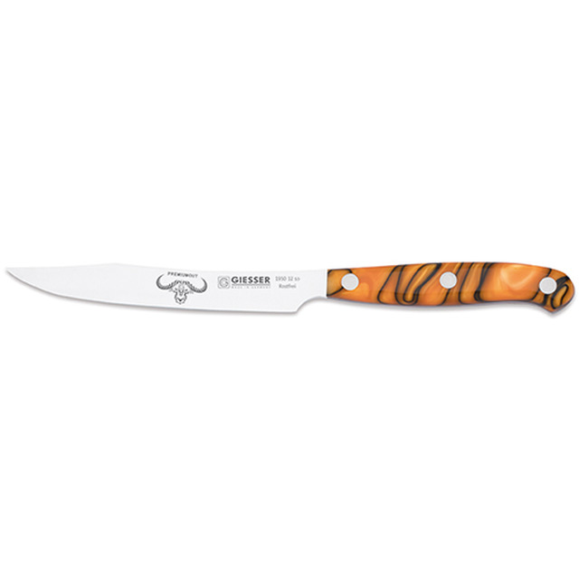 PremiumCut Steak No. 1 12 cm, manche en acrylique, spicy orange